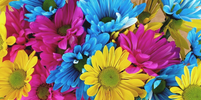 köpa polska grönsaksblomfrön i lösvikt