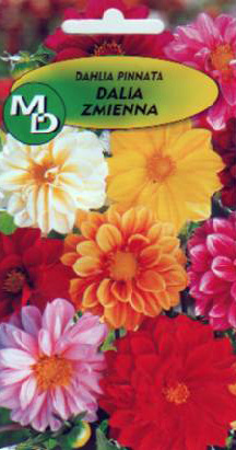 köpa polska grönsaksblomfrön i lösvikt